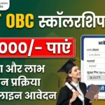 scholarship