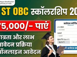scholarship